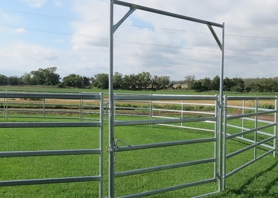 Steel Square Tube Heavy Duty Cattle Panel American Style