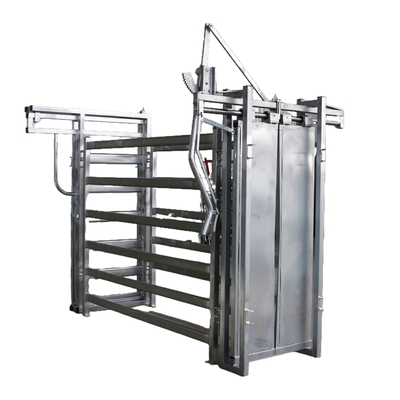 Hot Dip Galvanized Economic Cattle Crush