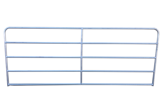 Anti Rust Galvanized 2400x1170mm Livestock Handling Equipment