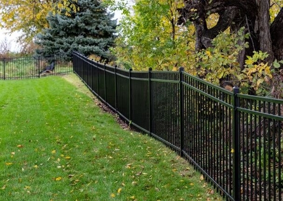 Powder Coated Black Wrought Iron Ornamental Fence Easy Installation