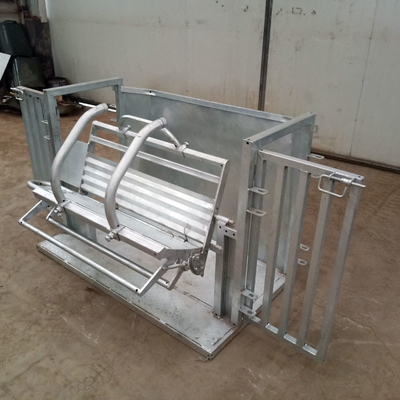 Smooth Galvanized Sheep Treatment Turnover Crush Catcher For Vet