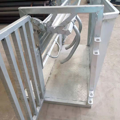Smooth Galvanized Sheep Treatment Turnover Crush Catcher For Vet