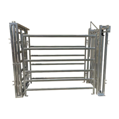 Hot Dip Galvanized Economic Cattle Crush