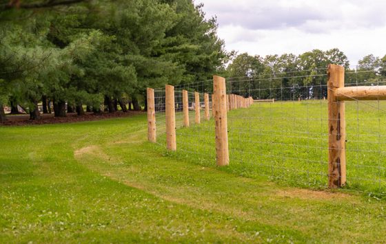 In Stock Livestock Knot Field Cattle Fence Pig Fence Proof Fencing for sale