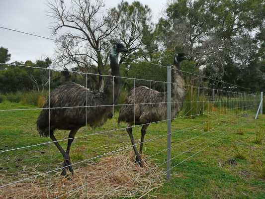 In Stock Livestock Knot Field Cattle Fence Pig Fence Proof Fencing for sale