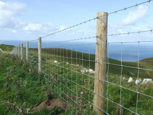 In Stock Livestock Knot Field Cattle Fence Pig Fence Proof Fencing for sale