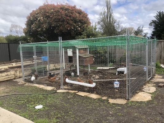 Rustproof Temporary Metal Fence Panels , 2.1x2.4m Galvanised Weld Mesh Panels