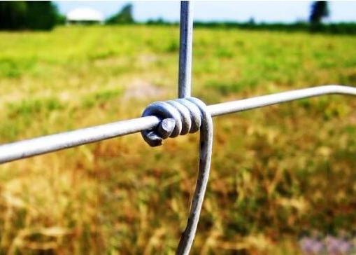 Steel 6.6ft High Fleet Farm Welded Wire Fence With Y Post For Cattle Feeding
