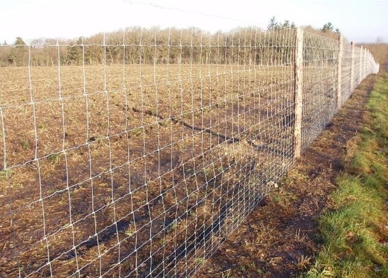 Steel 6.6ft High Fleet Farm Welded Wire Fence With Y Post For Cattle Feeding