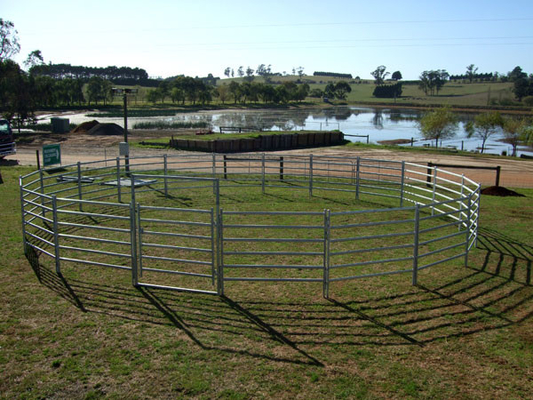 Powder Coated 5 Rails Heavy Duty Cattle Panel With Round Pipe