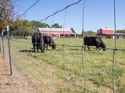 ISO-2001 1.2m Height Wire Cattle Fencing With High Tensile