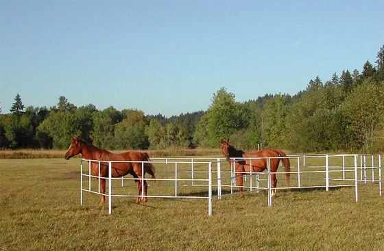 Mobile Rot Proof 1.35m Tall Livestock Handling Equipment For horse float