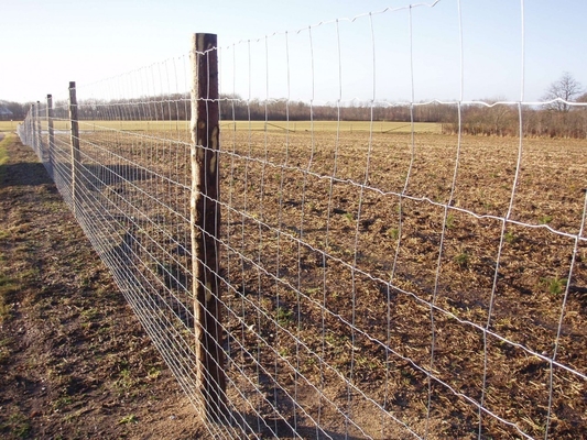 1.5m Height Farm Galvanized Design Cattle Mesh Fencing