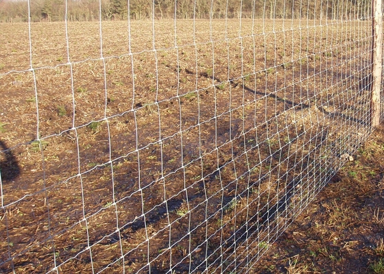 Hot Dip Galvanized 2.5mm Hinged Knot Rural Wire Fencing 4ft