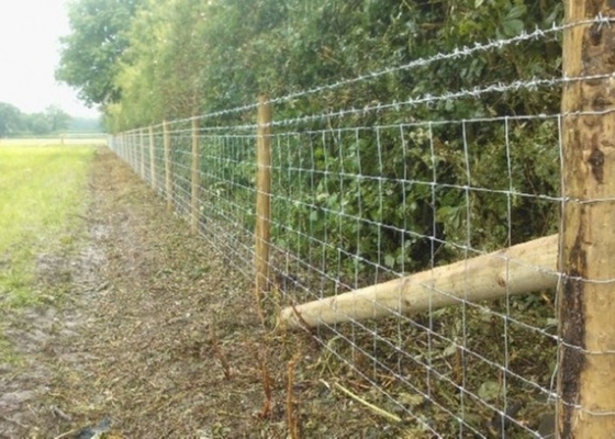 4 Ft 5 Ft Livestock Mesh Fencing SGS Certification