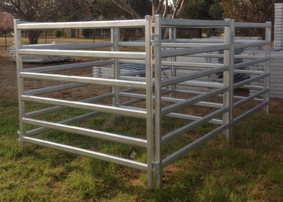 Rot Proof Heavy Duty Cattle Panel 40x40mm Square Galvanized Tube Livestock