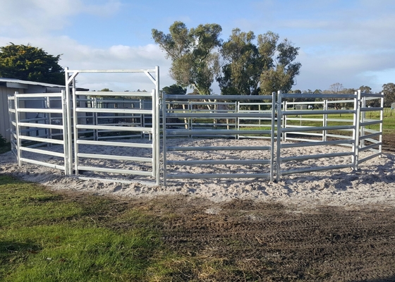 Oval Tube Galvanized Cattle Panel Australia Standard