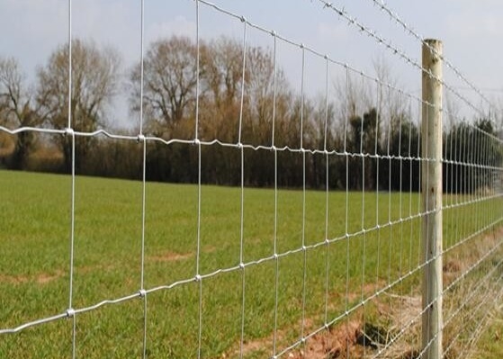 Galvanised Farm Hinge Joint Field Fence Metal Hog Wire Fence 1.2-1.44m