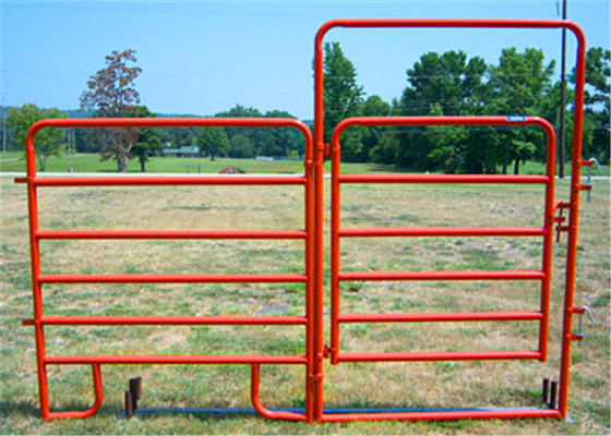 Galvanized Powder Coated 1.17m Rural Farm Gate Livestock Handling Equipment